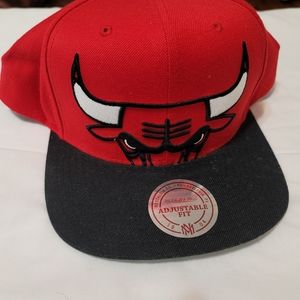 NEW Mitchell & Ness NBA Chicago Bulls Cropped XL Logo Snapback Cap